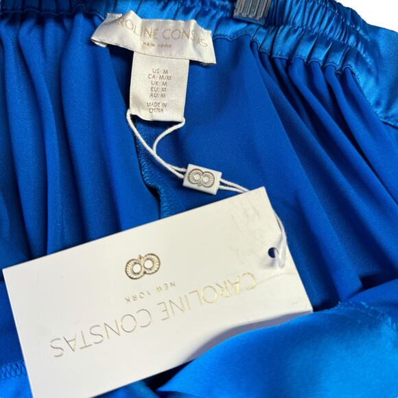 Caroline Constas Satin Trouser Pant SZ M Wide Leg Flowy Quiet Luxury Blue NEW - Picture 3 of 10